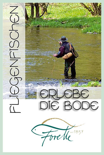 Arrangement Fliegenfischen im Bodetal