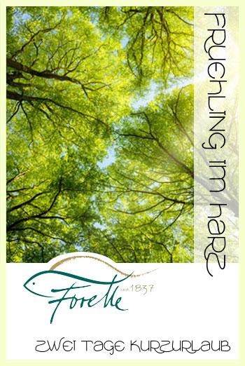 Arrangement Frühling im Harz