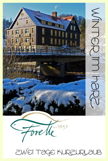 Arrangement Winter im Harz